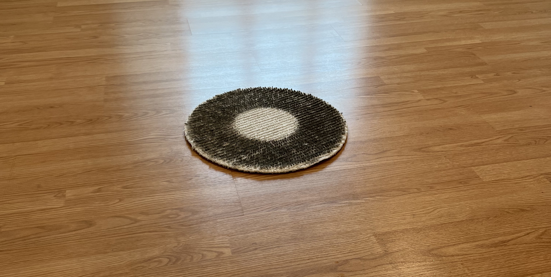 wood-floor-cleaning-img01