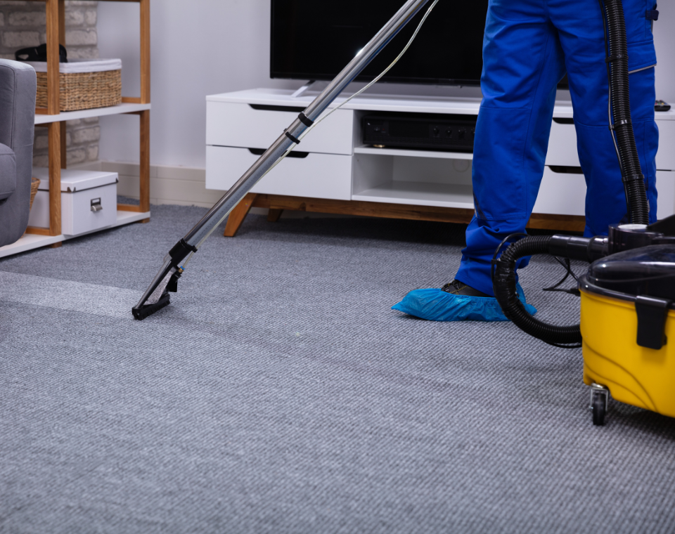 Carpet Cleaning