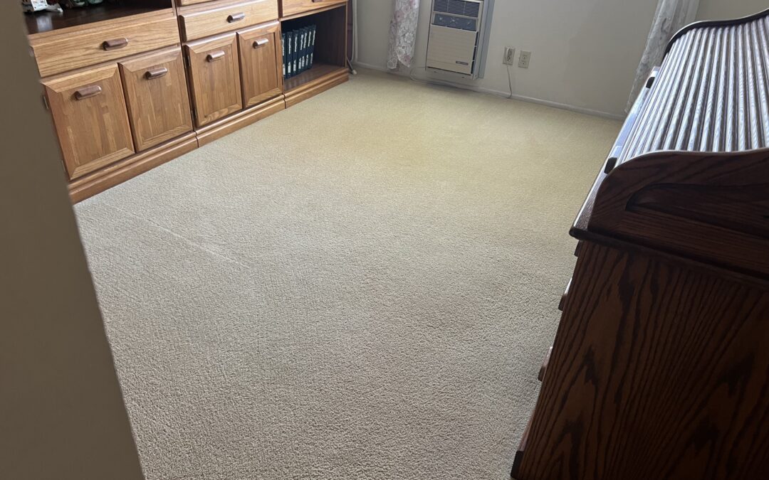 Carpet Cleaning Anaheim, CA: Breathe New Life Into Your Floors