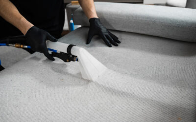 Why Regular Upholstery Cleaning is Important for Allergy Sufferers