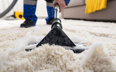 Common Myths and Misconceptions About Carpet Cleaning Debunked